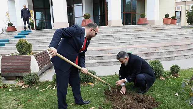 Yeni Akademik Yıl Fıstık Ağaçları ile Başladı