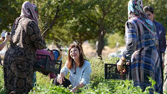 Yerel Tohumlarla Yetiştirilen Ürünler, Toprağa El Birliğiyle Ekilen ve Taze Tüketilen Lezzetler! Hasat Zamanı Coşkusu Yaşanıyor