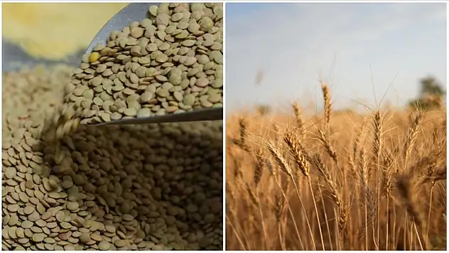 Yeşil mercimek ve yulaf ithalatında geçici vergi indirimi