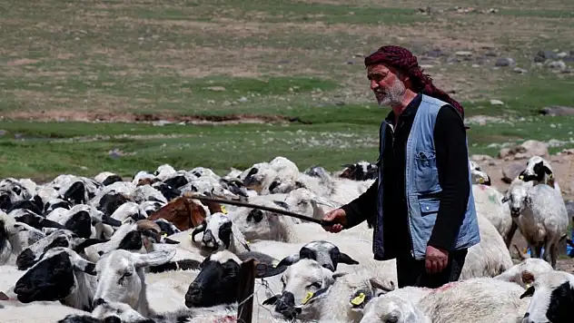 Yetiştiricilere 127,7 Milyon TL'lik Kredi Desteği Sunuldu