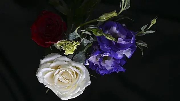 Yılbaşı için Türkiye'den milyonlarca dal çiçek dünyaya açıldı