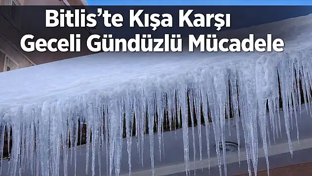 Yoğun kar Bitlis'te hayatı olumsuz etkiliyor, ekipler karla mücadele için seferber oldu