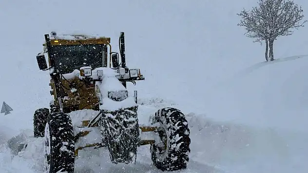 Yoğun kar Muş'ta ulaşımı felç etti