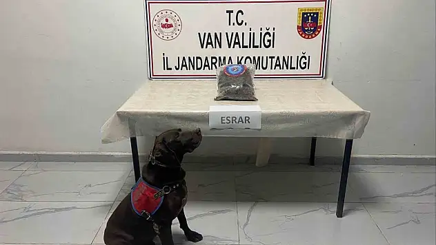 Yüksekova'da Jandarma Operasyonunda 999 Gram Esrar Ele Geçirildi