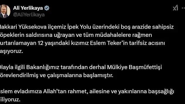 Yüksekova'da köpek saldırısı inceleme altına alındı