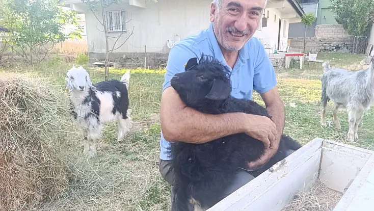 Ağrı’da bahçesini yılanlar basan emekli memur sorunu keçi ve tavuklarla çözdü