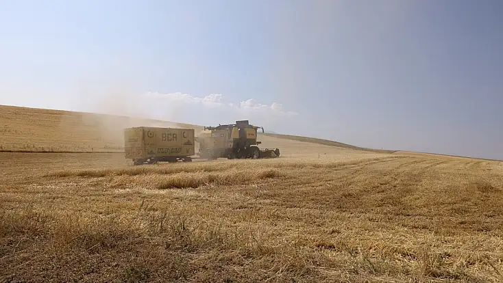 Ağrılı çiftçinin beklediği gün geldi! Çiftçinin bir yıllık emeği tarladan kalkıyor