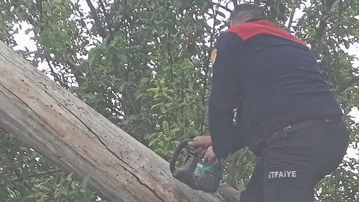 Ağrı’da fırtına ağacı evin çatısına devirdi