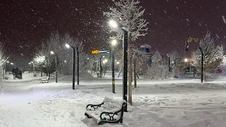 Ağrı’da kış sessizliği: Sokaklar ve parklar boş kaldı
