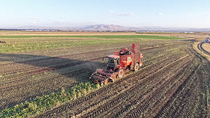 Ağrı’da pancar sökümü mesaisi başladı
