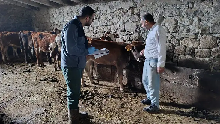 Ağrı’da şap hastalığına karşı önlemler artırıldı: Ekipler sahada!