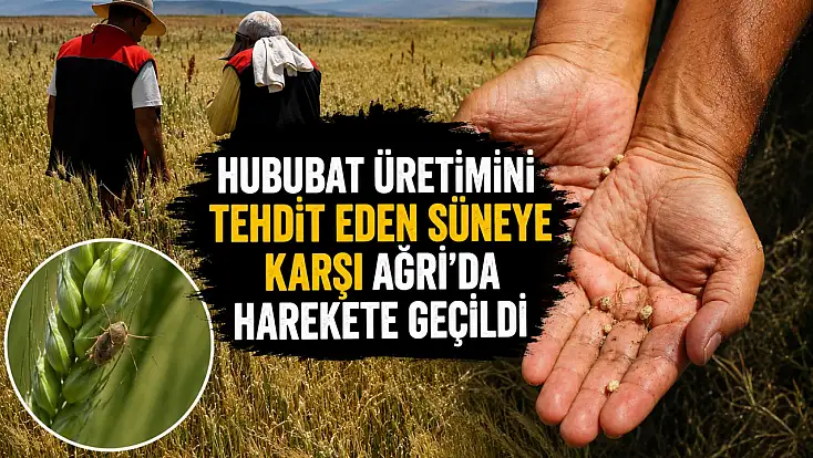Ağrı'da süne zararlısına karşı sahaya çıkacak ekipler eğitildi