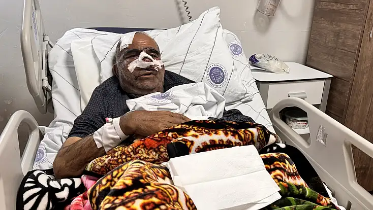 Ağrı’da yaşanan ayı saldırısının perde arkası: Doktorlar neler söyledi?