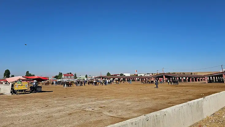 Ağrı Hayvan Borsası’nda şap alarmı! Hayvancılığın başkentinde borsa boşaldı