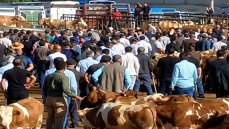 Ağrı Hayvan Pazarı’nda kavga! Taşlar ve sopalar havada uçuştu