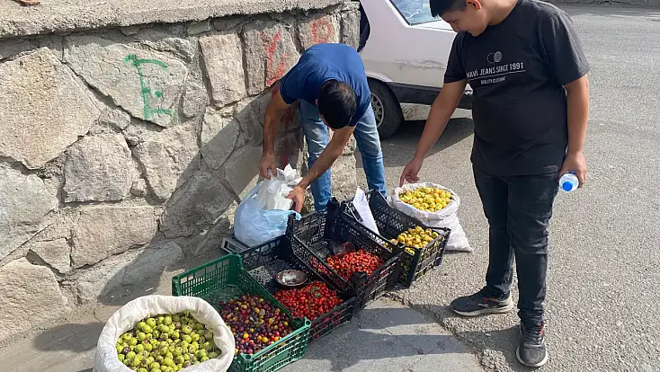 Ağrı’nın dağ meyveleri okul önlerinde tezgâha çıktı