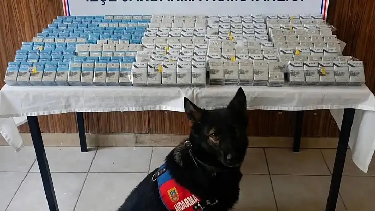 Diyadin’de tırdan 500 paket kaçak sigara çıktı