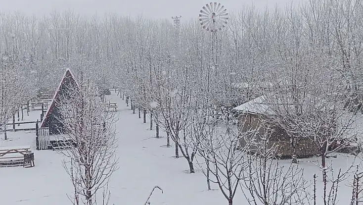 Doğubayazıt’ta meyve bahçesi beyaza büründü