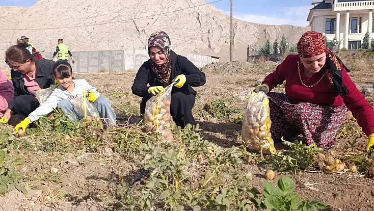 Doğubayazıt’ta tarladan sofraya dayanışma başladı