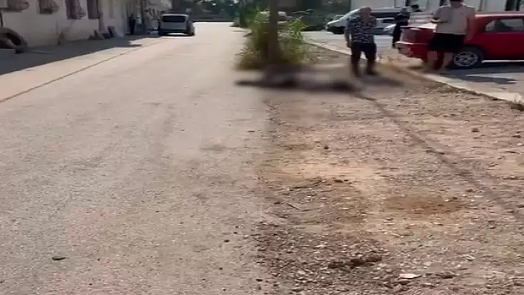 Eşi ve eniştesini tabancayla öldüren şüpheli tutuklandı: Genç kadının cenazesi Ağrı’ya gönderildi