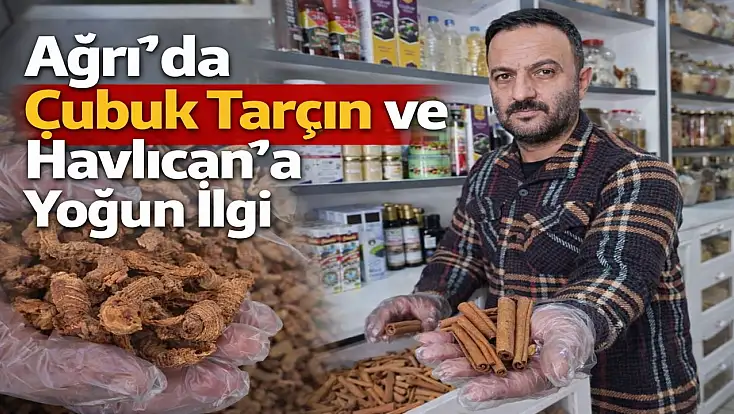 Gribe karşı çözüm aktarlarda aranıyor