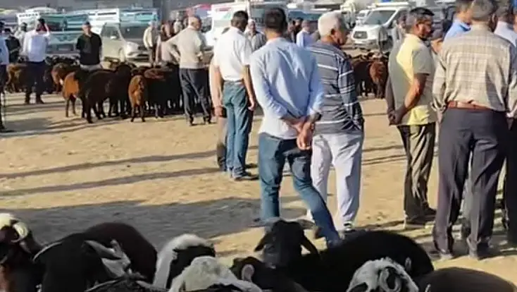Patnos Hayvan Pazarı 15 gün süreyle kapatıldı