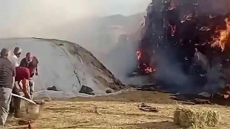 Patnos’ta 2 bin 100 balya yangında kül oldu