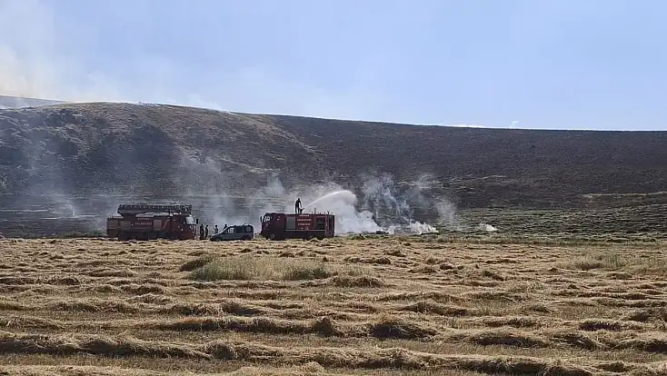 Patnos’ta çıkan yangın çiftçinin alın terini yaktı