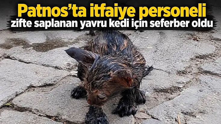 Patnos’ta itfaiye personeli zifte saplanan yavru kedi için seferber oldu