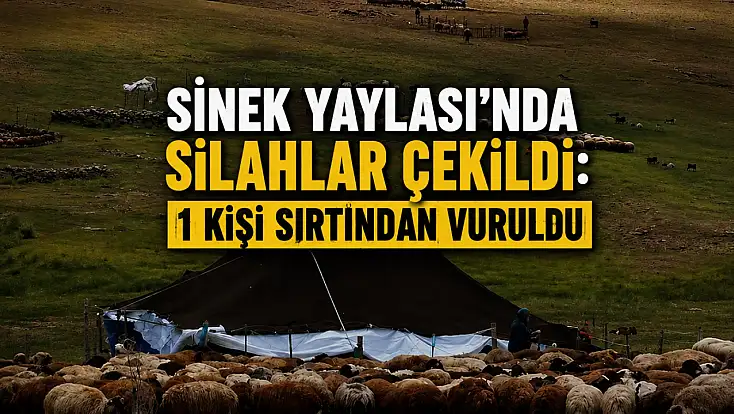 Sinek Yaylası’nda koyun pazarlığı silahlı kavgaya dönüştü: 1 yaralı