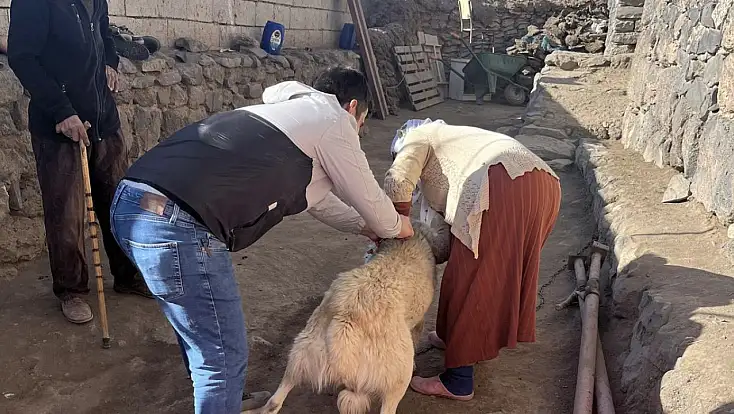 Son tarih yaklaşıyor: Mikroçip uygulamasında Doğubayazıt’ta yoğun mesai