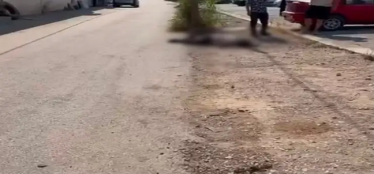 Eşi ve eniştesini tabancayla öldüren şüpheli tutuklandı: Genç kadının cenazesi Ağrı'ya gönderildi