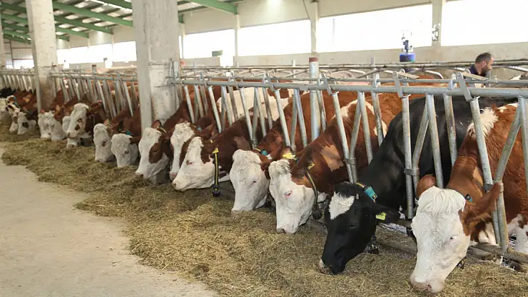 Ağrı, TRA2 Bölgesinin üretim üssü oldu