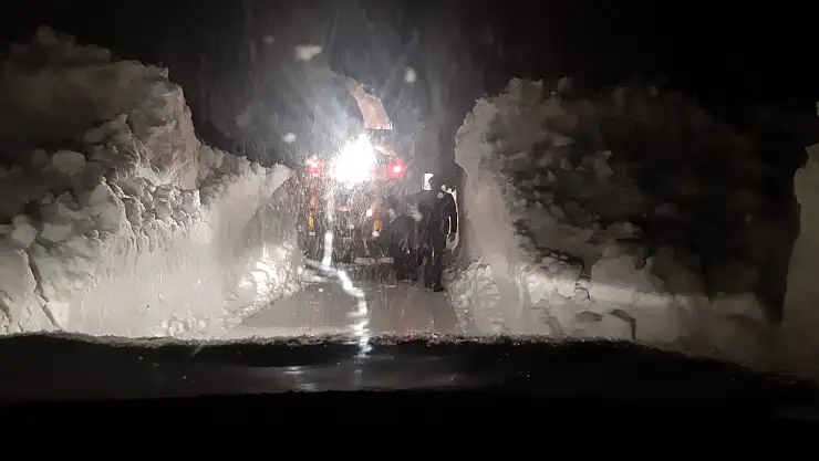 Ağrı'da kar nedeniyle kapanan yollar ulaşıma açıldı