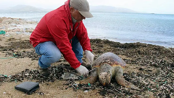 O ilimizde 3 karetta ölü bulundu