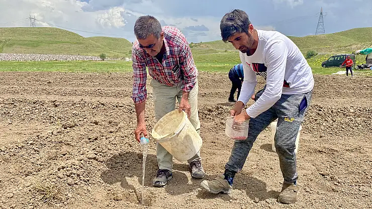Ağrılı çiftçilerin kavurucu sıcaklar altında ekmek mücadelesi başladı