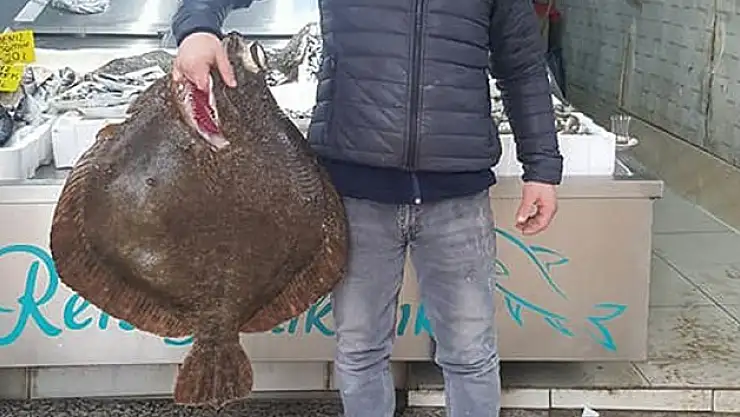 Balığını fiyatı bin liraya çıktı