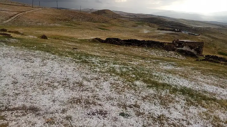 Ağrı'da aniden bastıran dolu çevreyi beyaza bürüdü