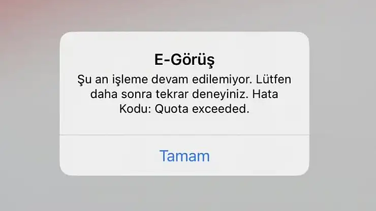 (13 Mart 2025) E Görüş Hata Veriyor, Açılmıyor Hatası ve Çözümü Ne, nasıl çözülür?