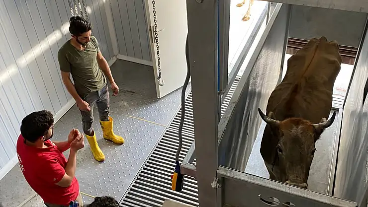 Diyadin'de hayvan kesim mezbahanesi açıldı