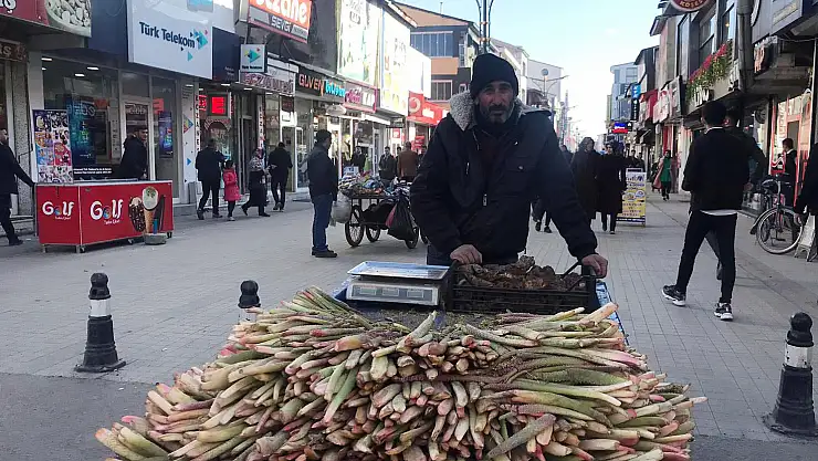 Kansere ilaç olarak gösterilen ışkın çıktı