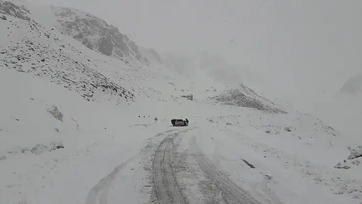 Van'da kar sürprizi