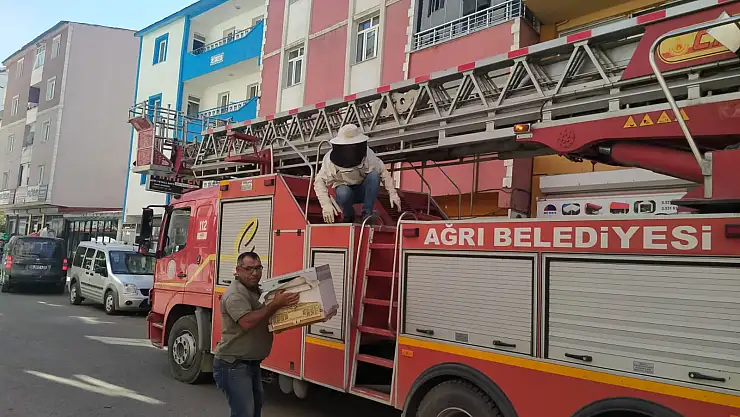 Ağrı'da çatıya kümelenen arıları itfaiye indirdi