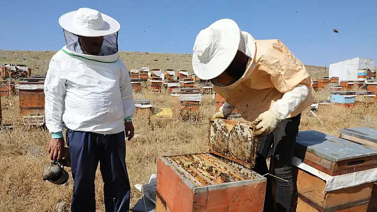 Ağrılı arıcılar hasat mevsiminden umutlu