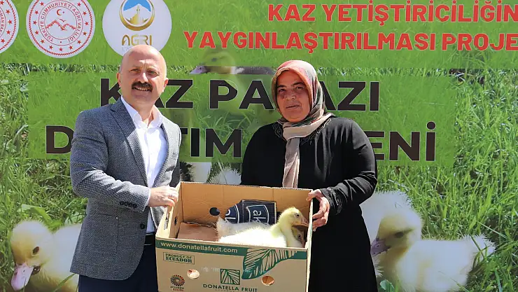 Ağrı'da 100 çiftçiye 5 bin kaz palazı dağıtıldı