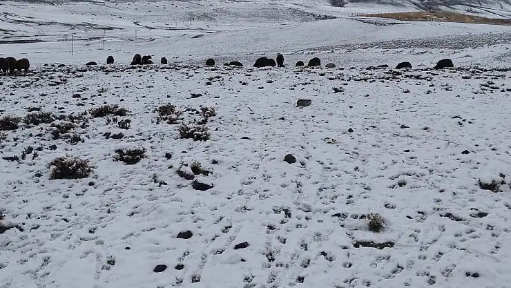 Ağrı'da kış başladı