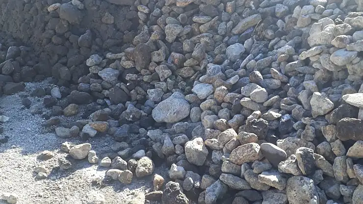 Ağrı'da şeker pancarına karıştırılan taşlar, fabrikaya zarar veriyor