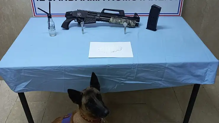 Ağrı'da 15 kilo esrar ele geçirildi