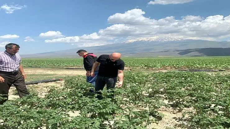 Ekinci, meyve ve sebze bahçelerini ziyaret etti