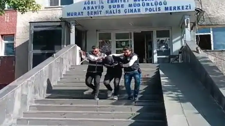 Ağrı'da oto faresi yakalandı